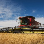 agriculture630x300
