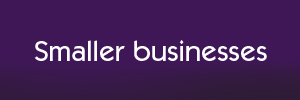 Smaller Businesses