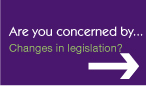 q1.jpg